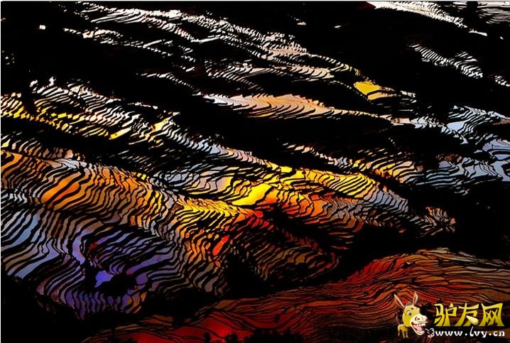 ���������ﻹδ��������Ҫ����20�������ҵ�������·��ͽ��30���ӵ���ߴ������۳��Ͷٻ����ľ�ɫ�����ǳ�ֵ ...